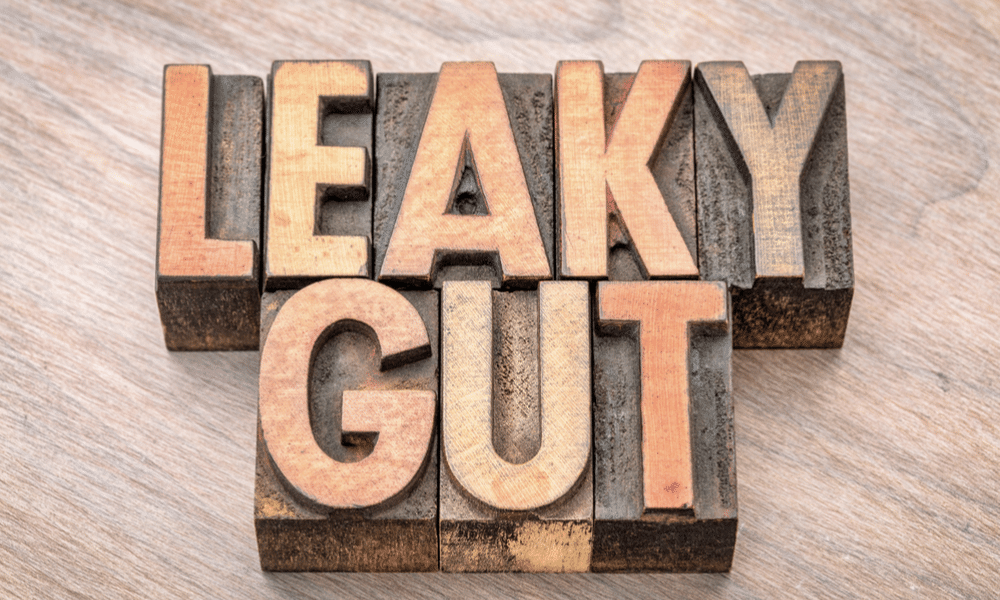 leaky gut syndrome